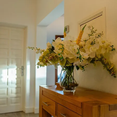 Casa Montana & Pool & Private & Near The Ocean